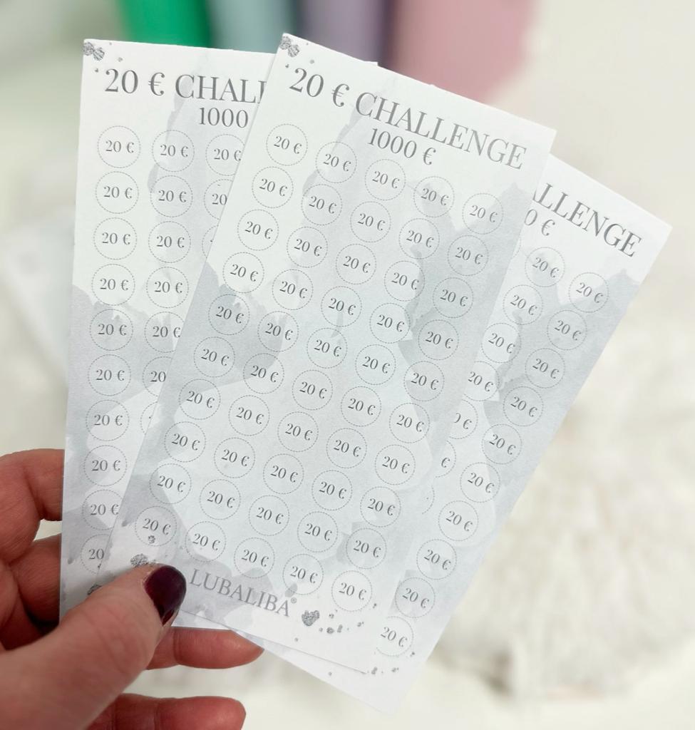 20€ Challenge Sheet Budget Planer Budget Binder